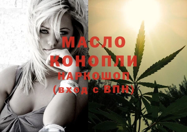 дмт Нягань