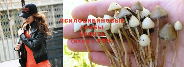 твердый Осинники