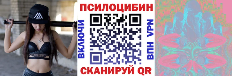 Галлюциногенные грибы MAGIC MUSHROOMS  цены наркотик  Туапсе 